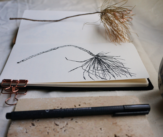 artist table with simple line drawing sketch of a botanical with one pen